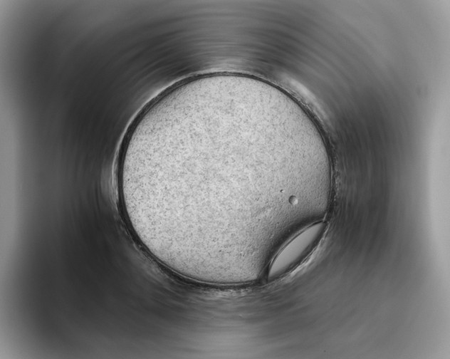 X0000093440892200711091452