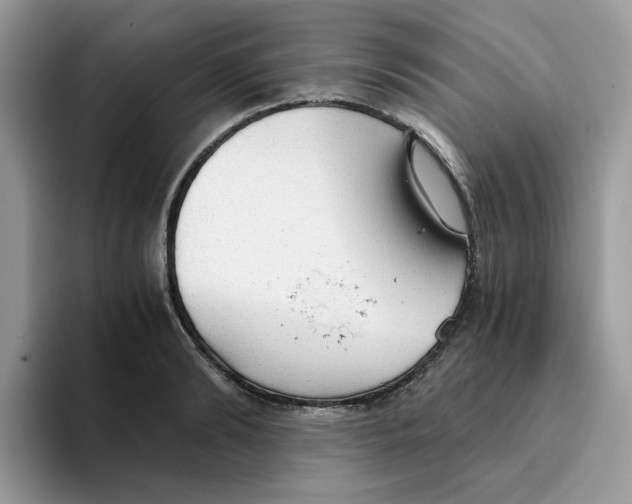 X0000093440894200711091452