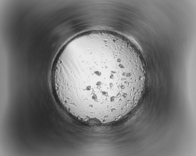 X0000093440895200711091452