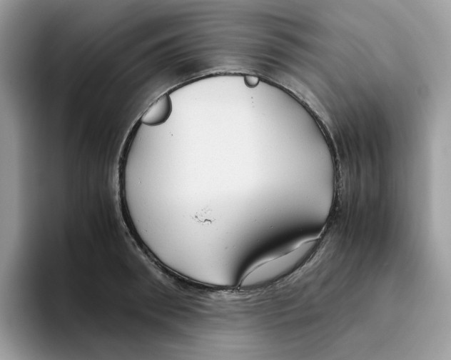 X0000093440898200711091452