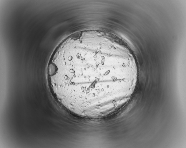 X0000093440899200711091452