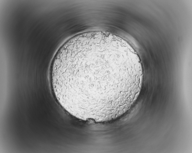 X0000093440907200711091452