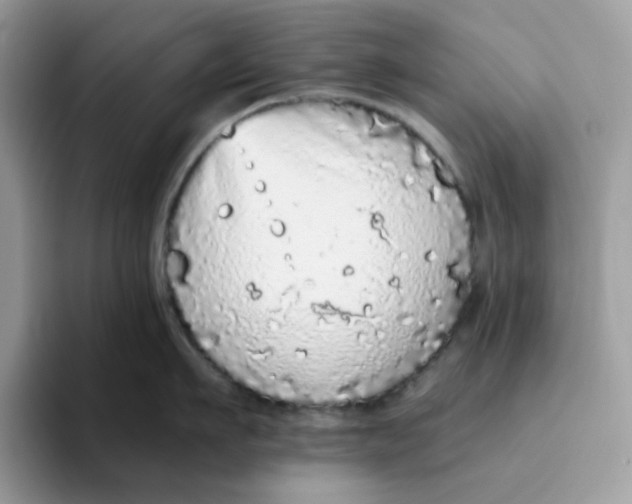 X0000093440911200711091452