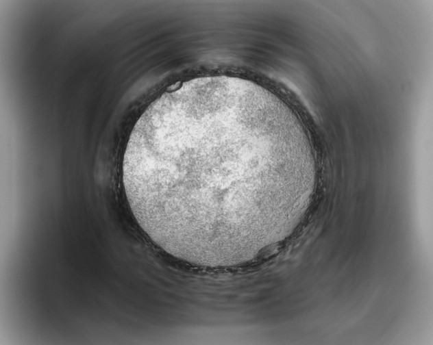 X0000093440919200711091451