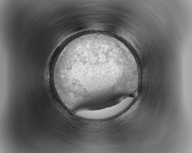 X0000093440923200711091451