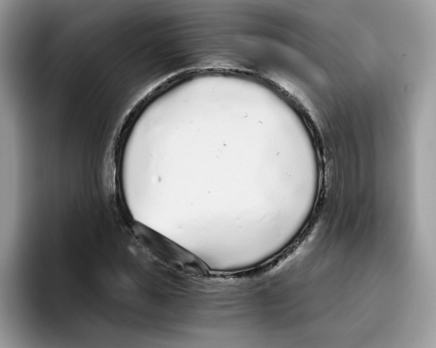 X0000093440925200711091451