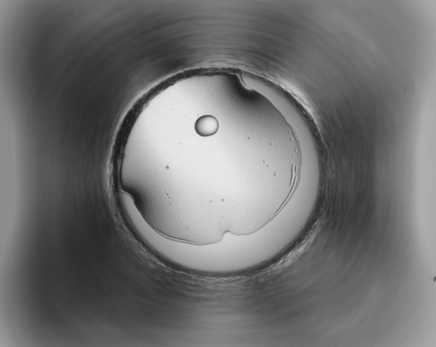 X0000093440928200711091451