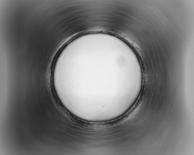 X0000093440933200711091451