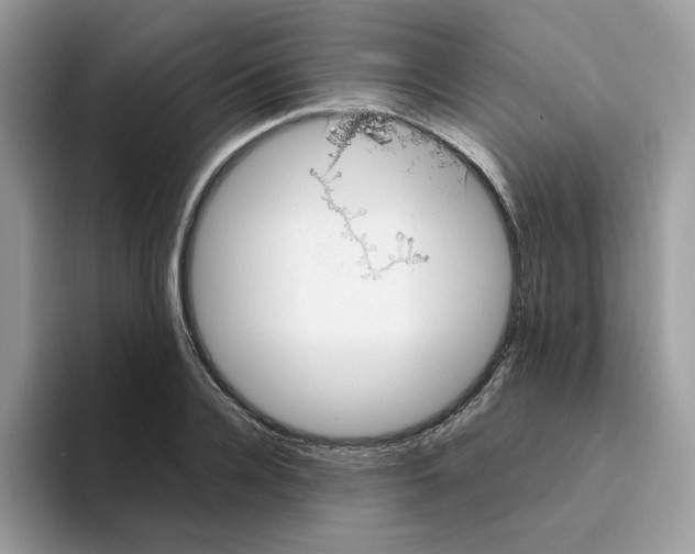 X0000093440936200711091451