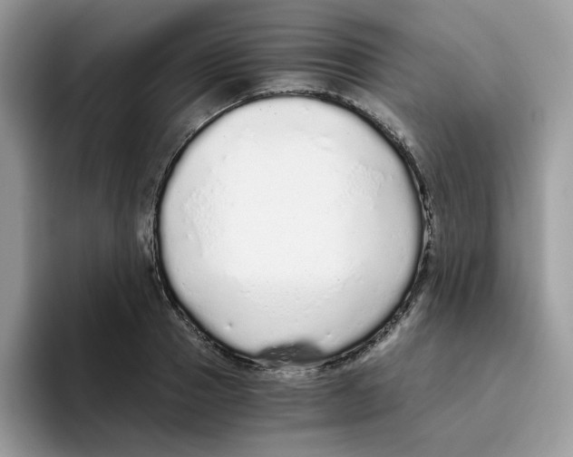 X0000093440937200711091451