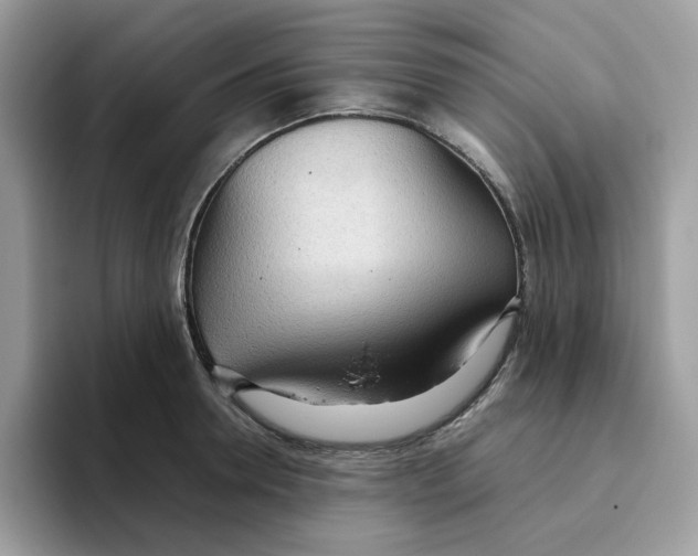 X0000093440946200711091451