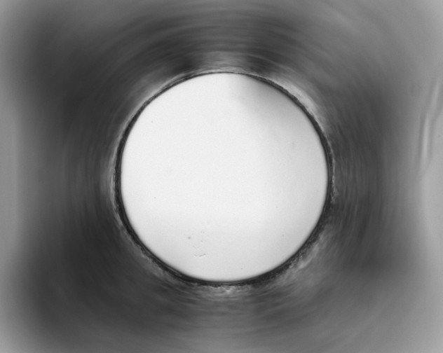 X0000093440949200711091451