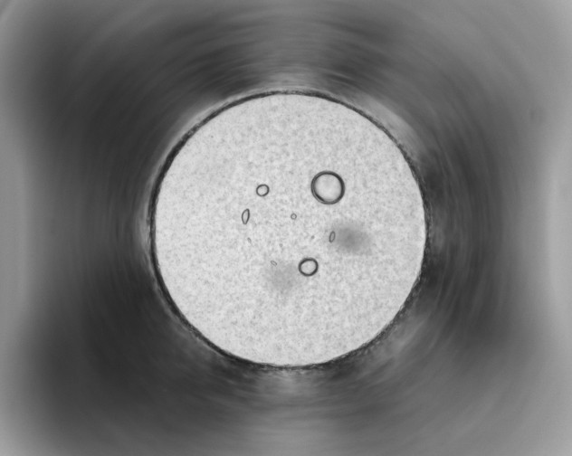 X0000093440950200711091451