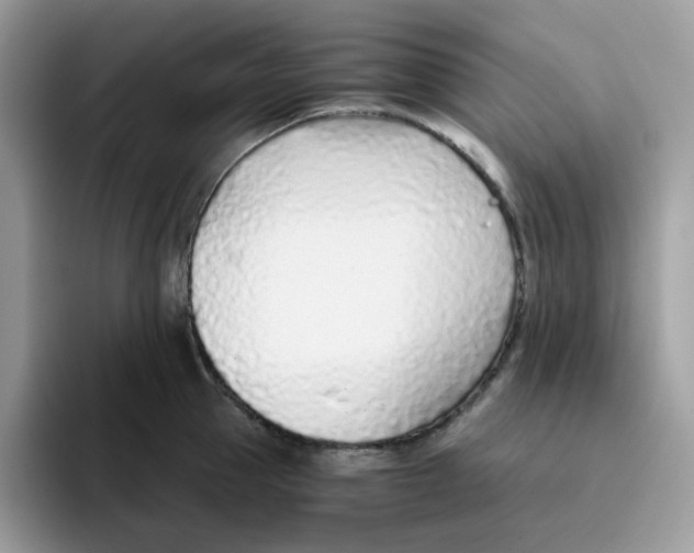 X0000093440953200711091451