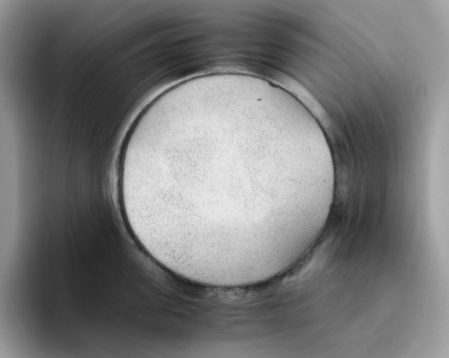 X0000093440955200711091451