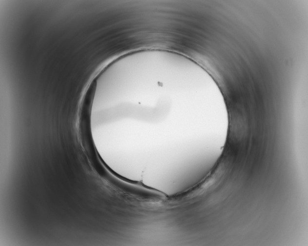 X0000093440956200711091452