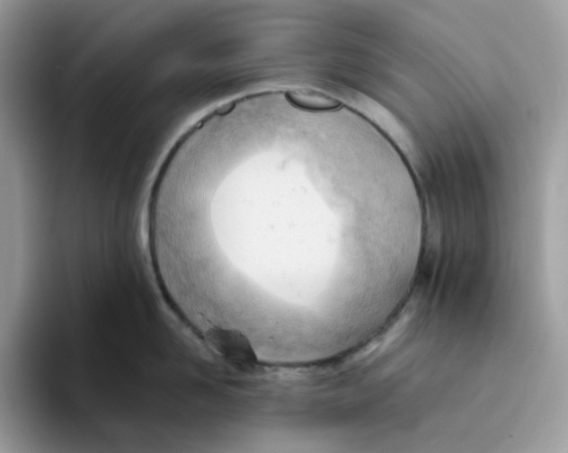 X0000093440958200711091452