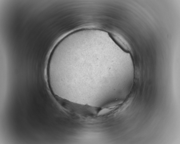 X0000093440959200711091452