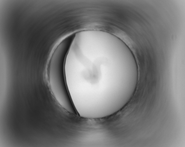 X0000093440960200711091452