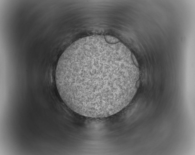 X0000093440962200711091451