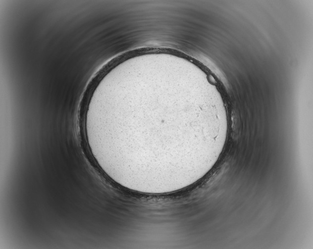 X0000093440972200711091451