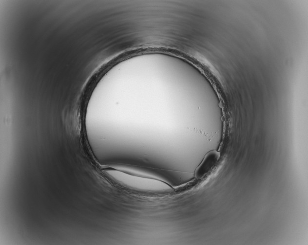 X0000093440973200711091451