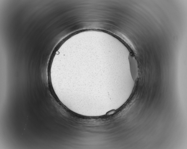 X0000093440980200711091451