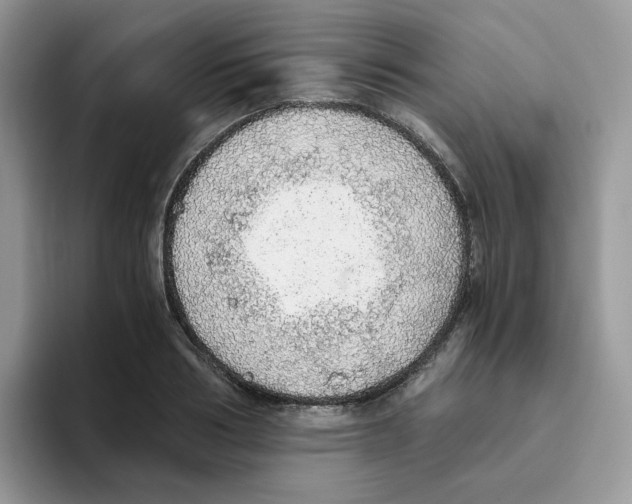 X0000093440986200711091451