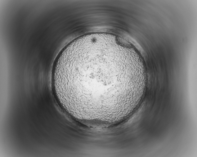 X0000093440994200711091451