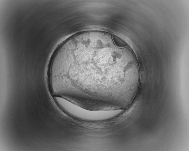 X0000093440995200711091451