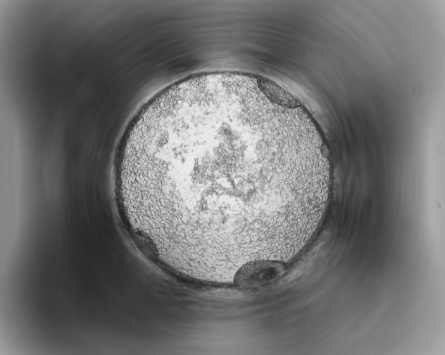 X0000093440998200711091451