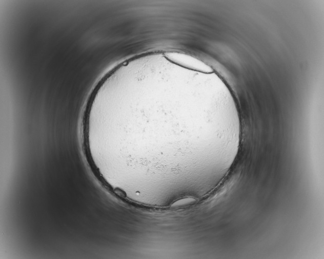 X0000093440999200711091451