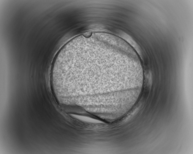 X0000093441002200711091451