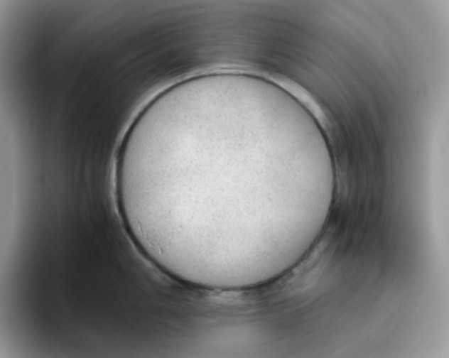 X0000093441006200711091450