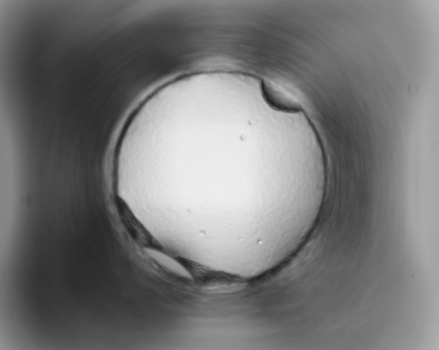 X0000093441008200711091450