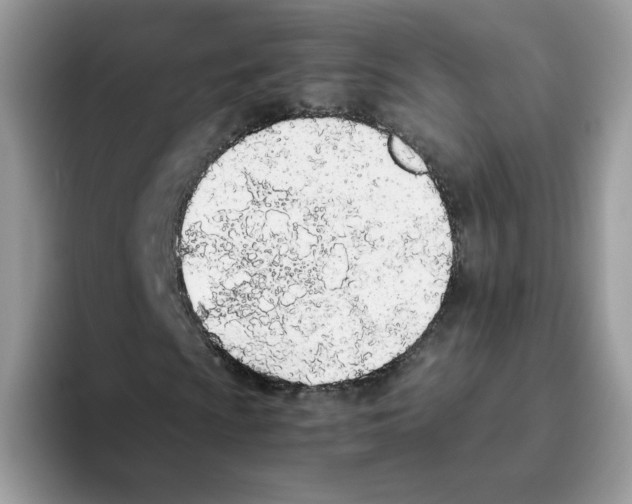 X0000093441009200711091450