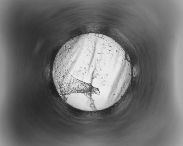 X0000093441011200711091450