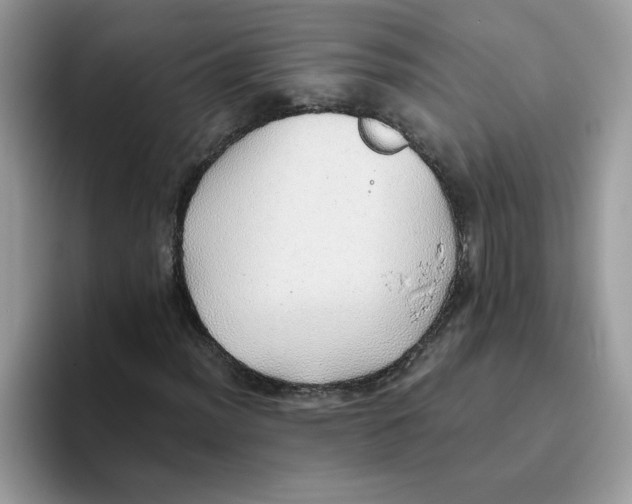 X0000093441012200711091450