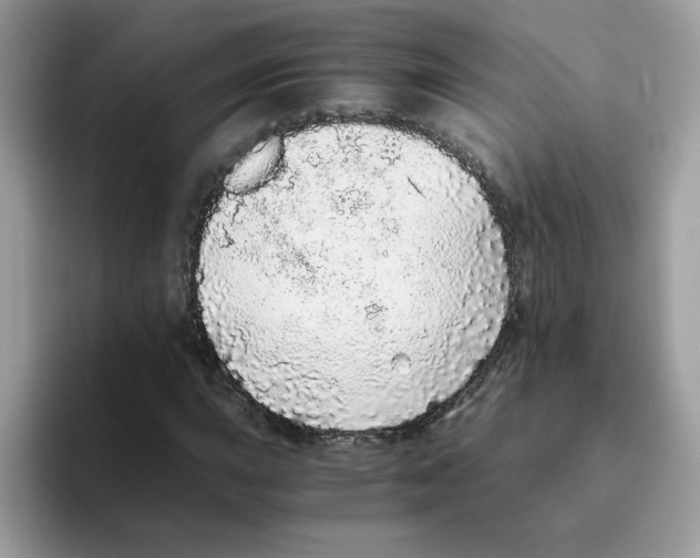 X0000093441015200711091450