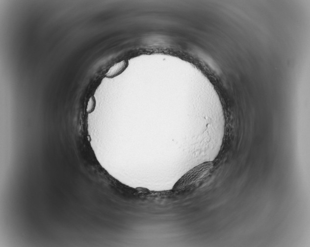 X0000093441016200711091450