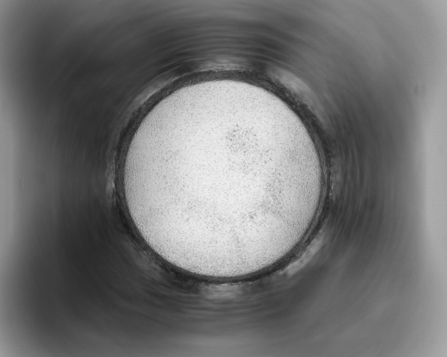 X0000093441017200711091450