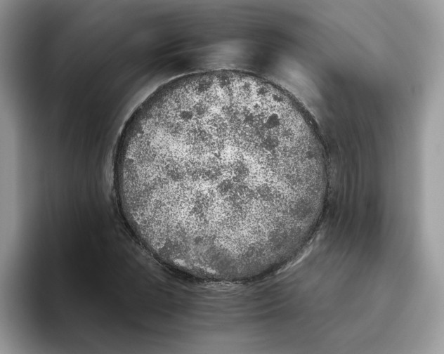 X0000093441023200711091450