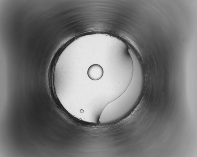 X0000093441026200711091450