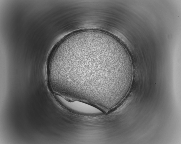 X0000093441030200711091450