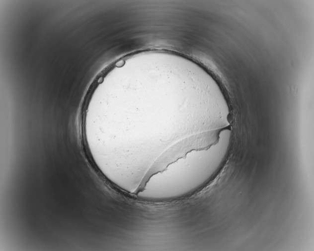 X0000093441032200711091450