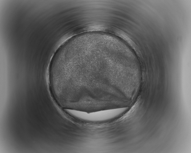 X0000093441034200711091450