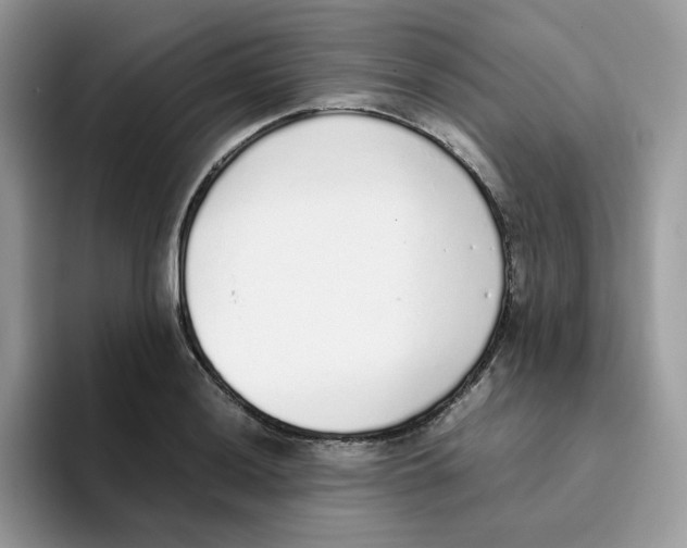 X0000093441036200711091450