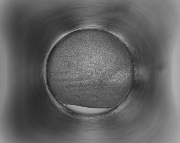 X0000093441038200711091450