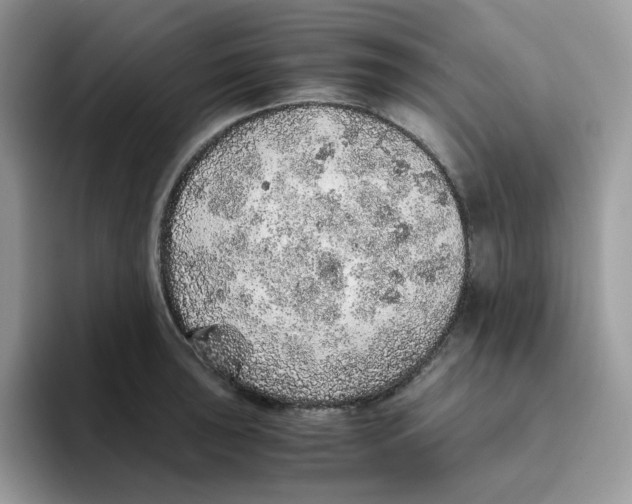 X0000093441043200711091450