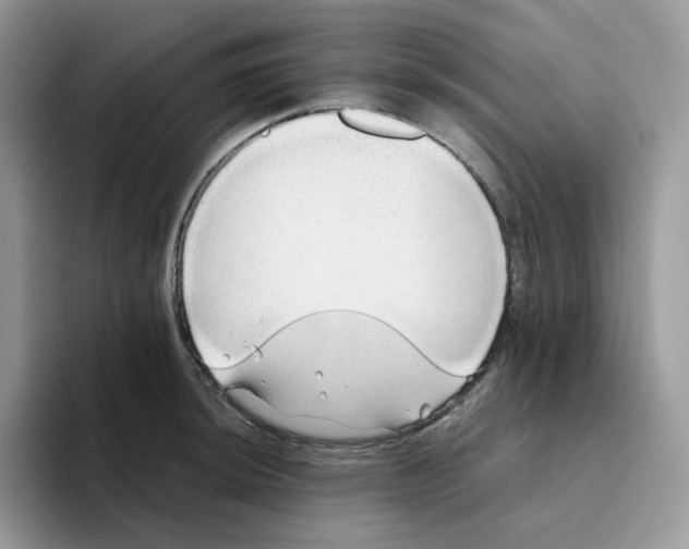 X0000093441044200711091450